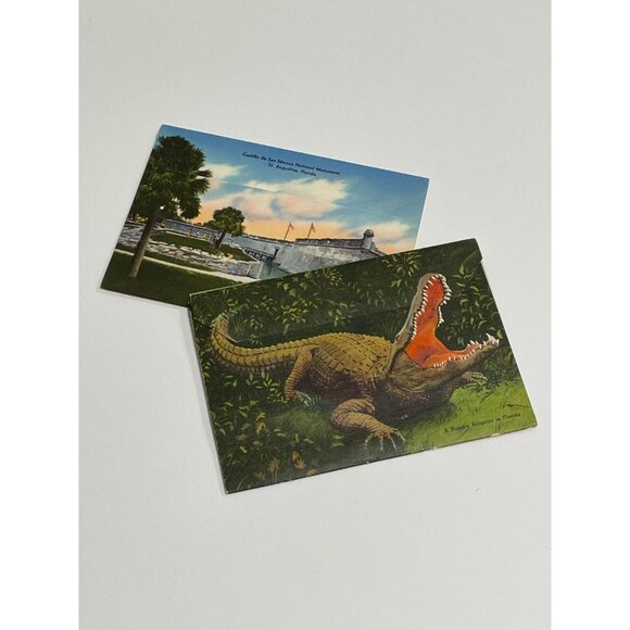 Vintage 1942 St. Augustine Florida Postcards Alligator Ostrich Farm - Picture 2 of 3